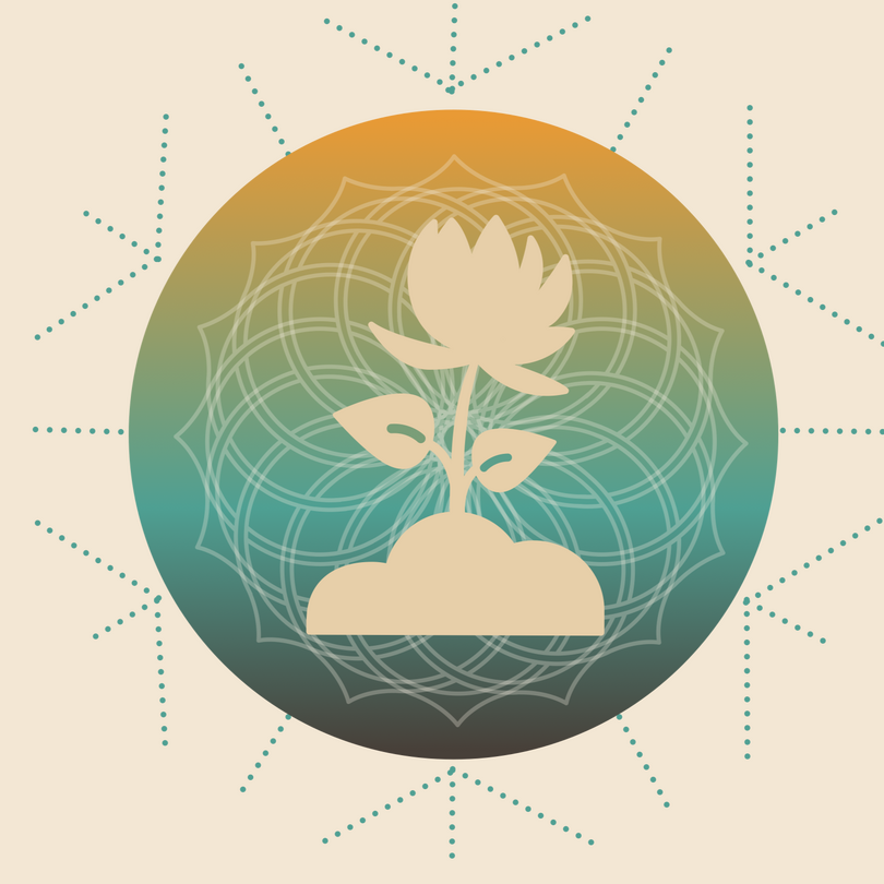 Asesoria Perzonalizada #asesoria